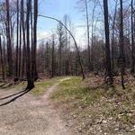 Vasa Trail