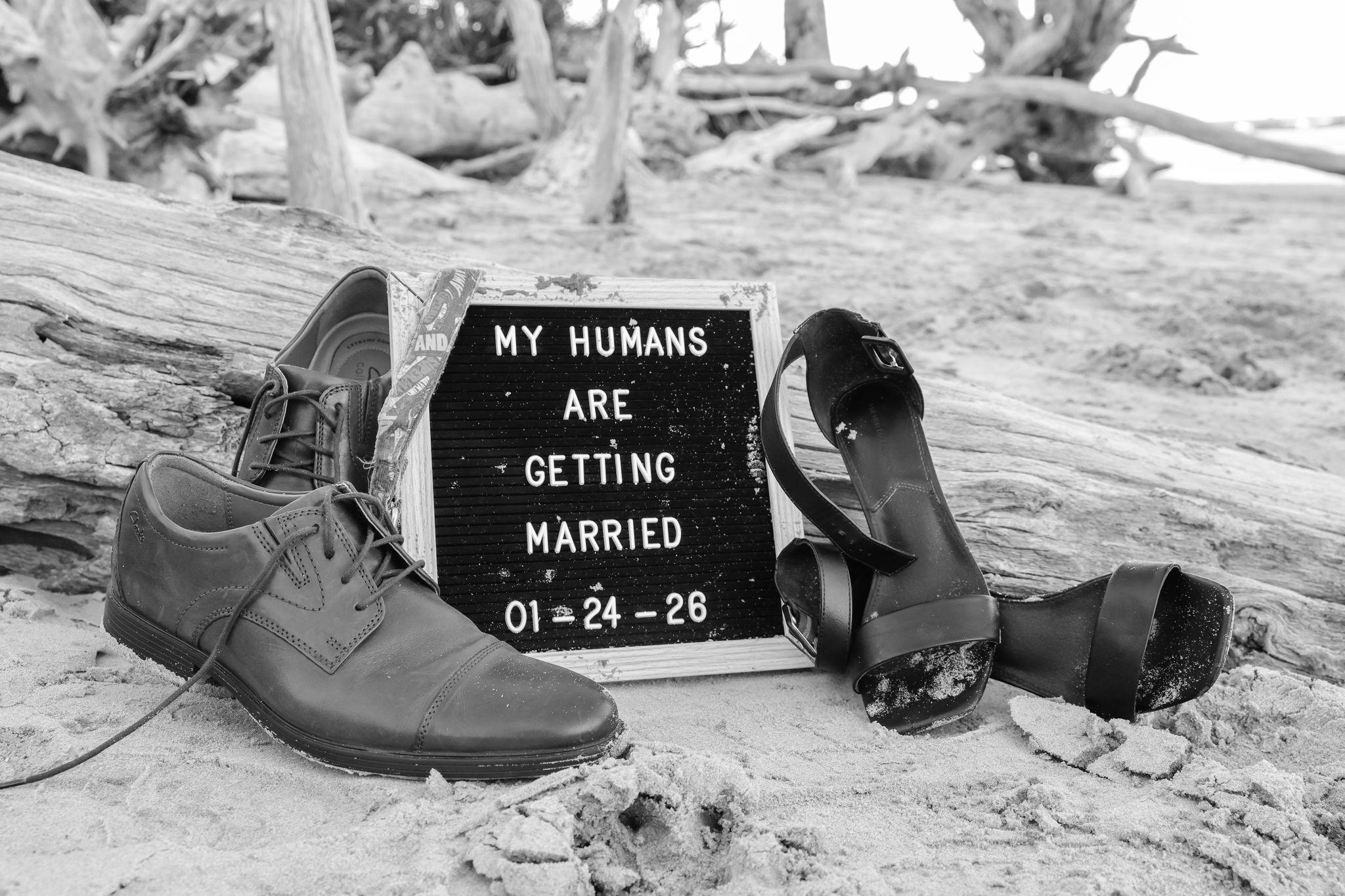 The Wedding Website of Sara-Marie Saliba and Jesse Hardee