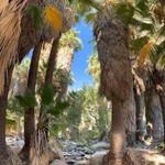 Murray Canyon to Seven Falls Hike