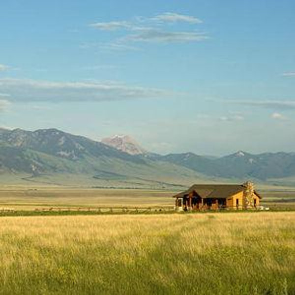 Our Future Home