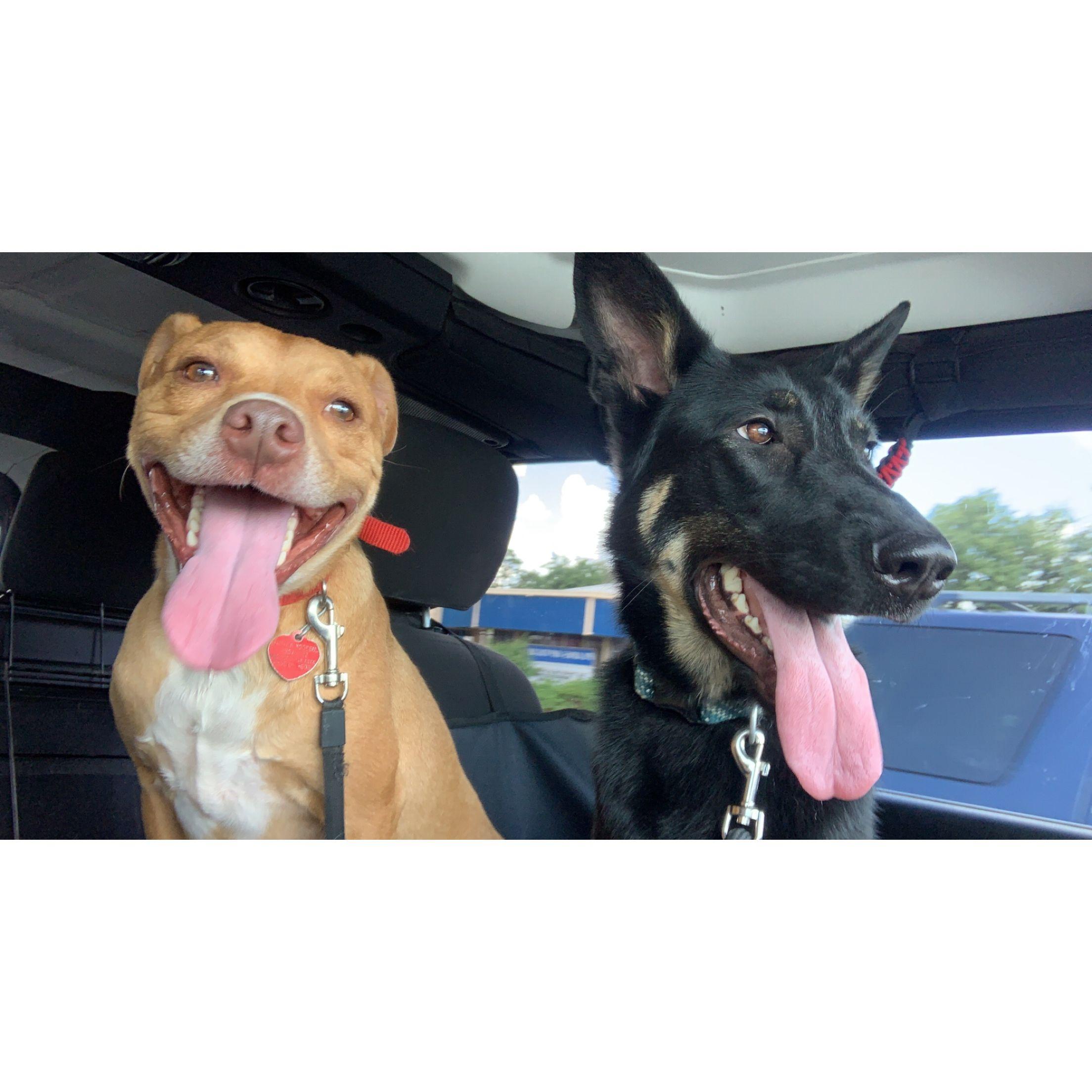 JoJo and Amara