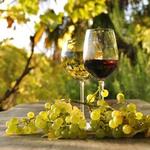 Vineyards
