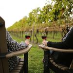 Newport Vineyards