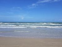 Padre Island National Seashore