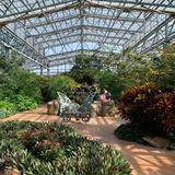 Butterfly Wonderland