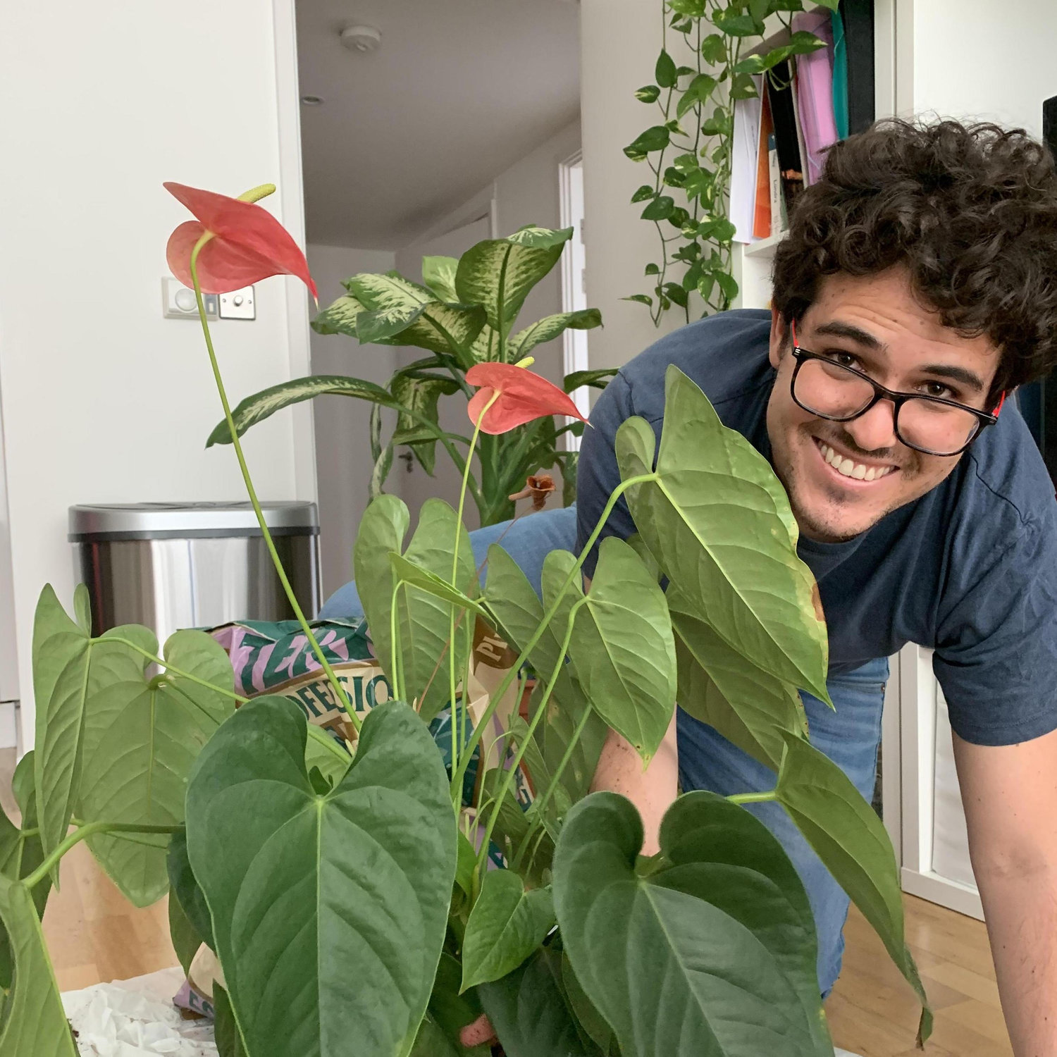 We decorated our first flat with tons of plants, many of which have now more than doubled in size and are still alive and well (thanks to Carlos' cares)