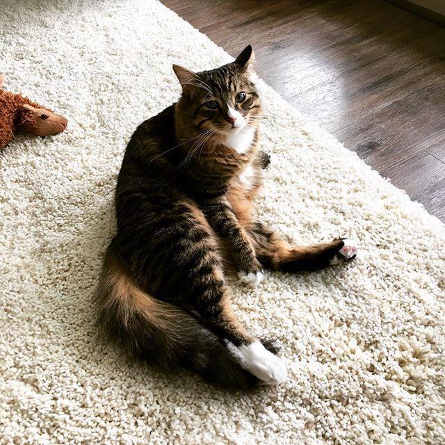Axel
