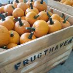 Frugthaven Farm
