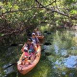 Mangrove Eco Tour