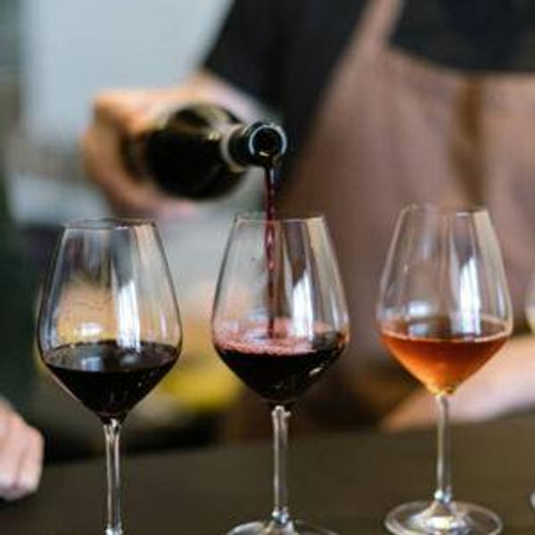 Wine Tastings and Vineyard Tours