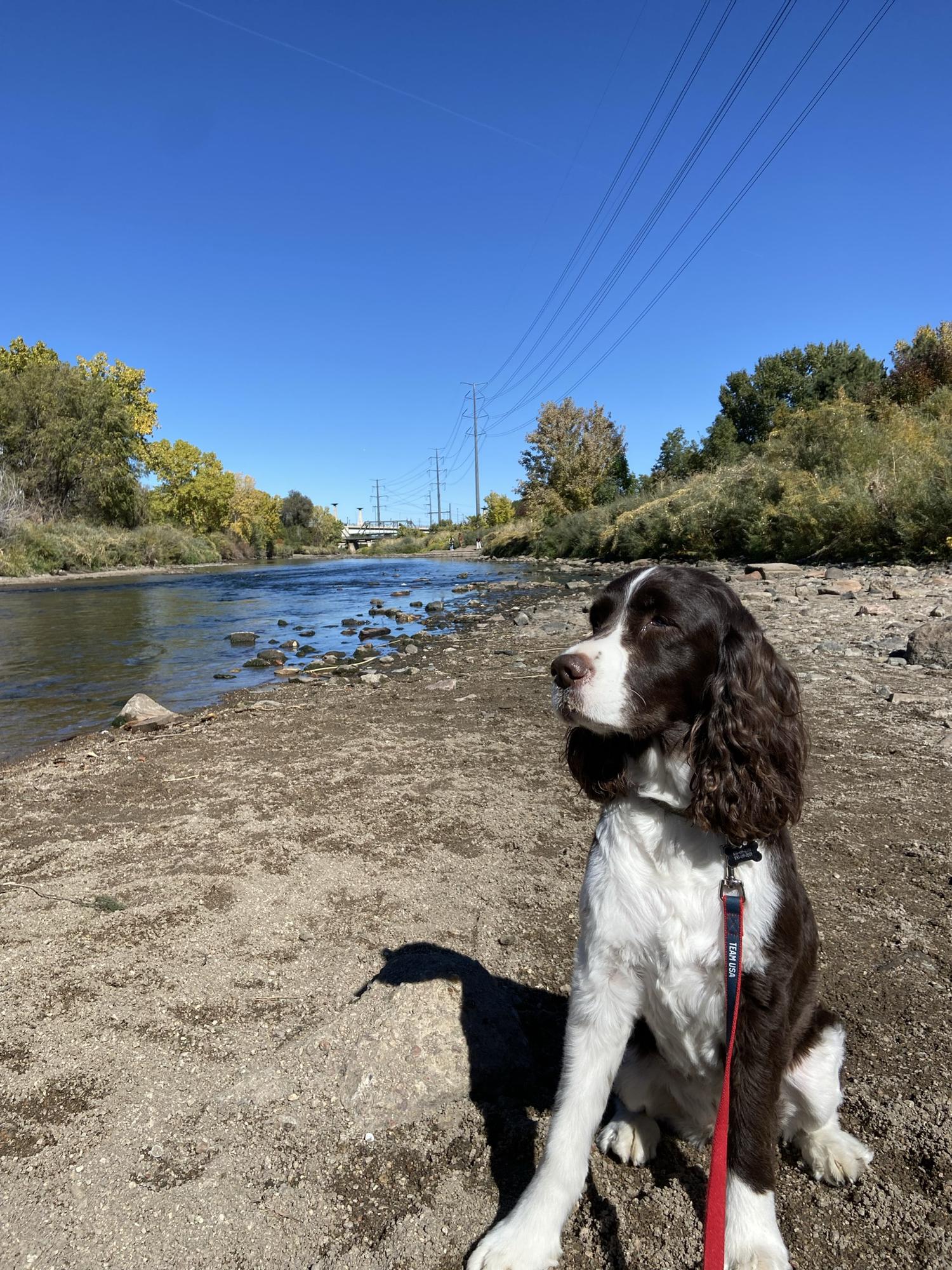 Ellie taking in the sights in Denver