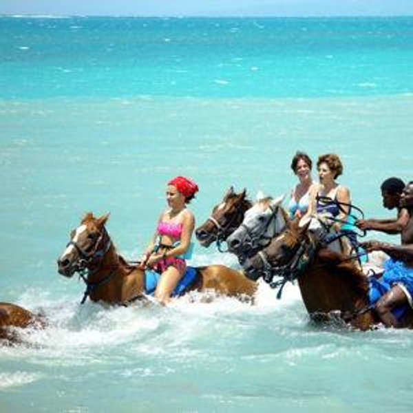 Horseback Riding Tour