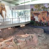 Waco Mammoth National Monument