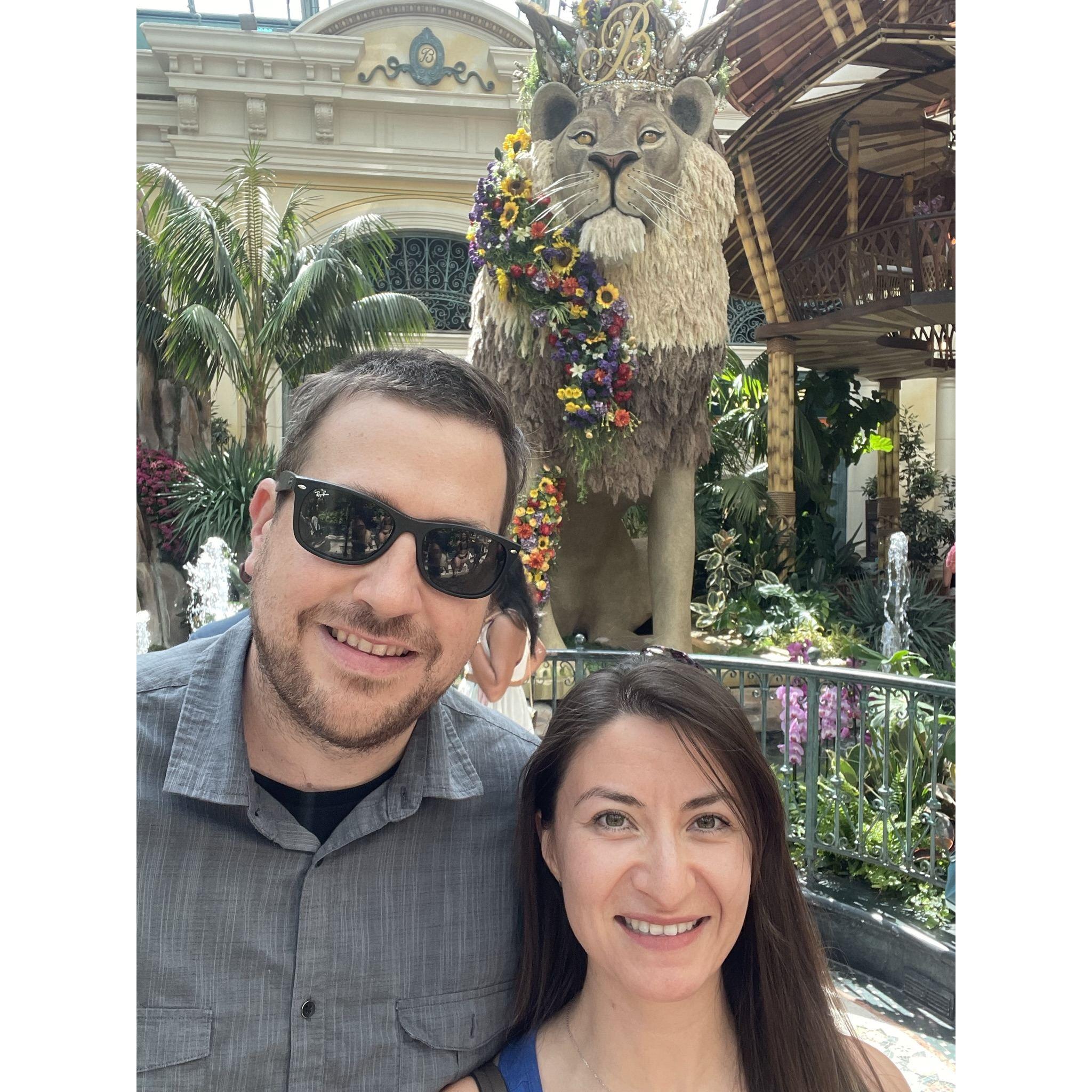 Taking a stroll at the flower garden animal kingdom
