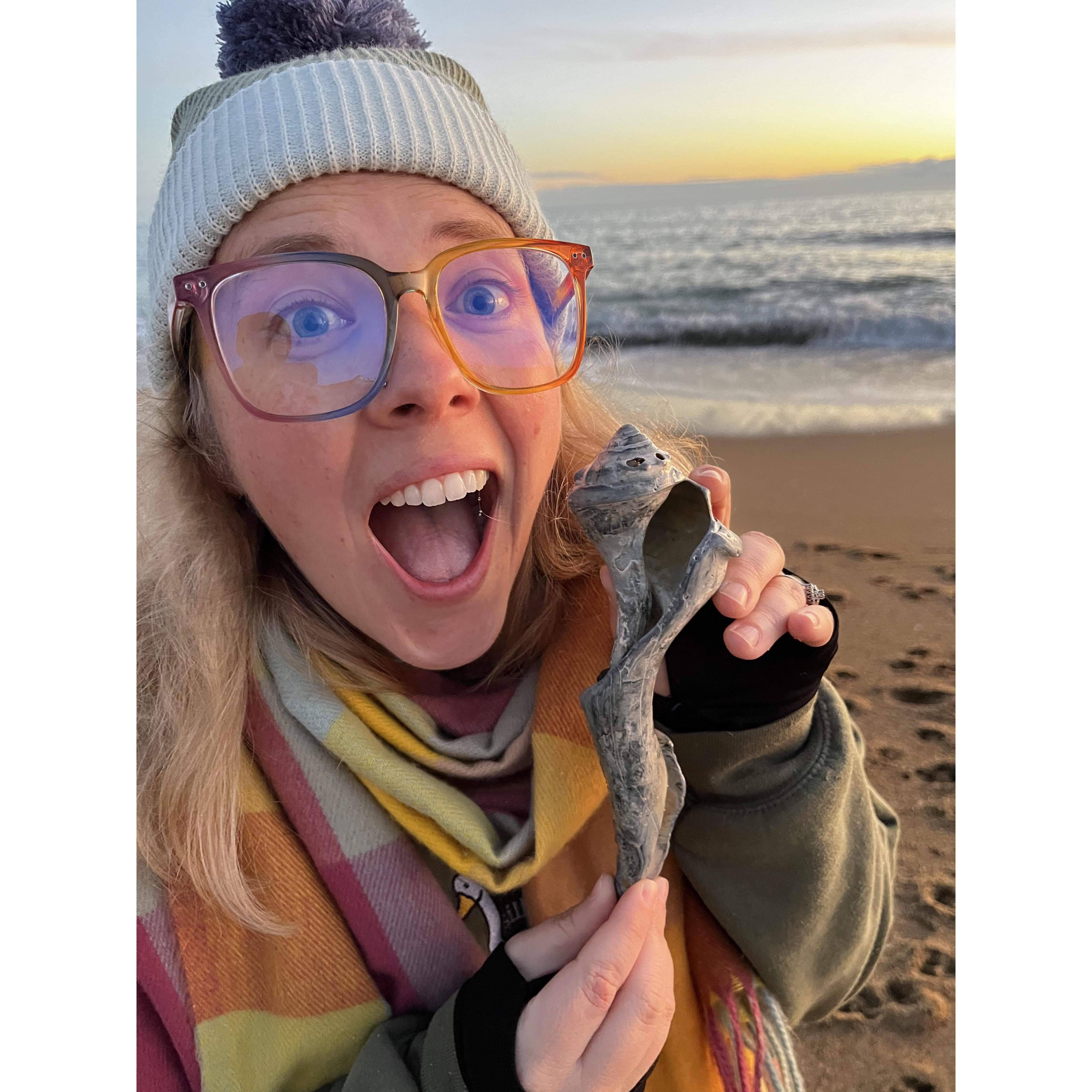 Kyle and I found this shell during a Christmas walk on the beach with my family :)