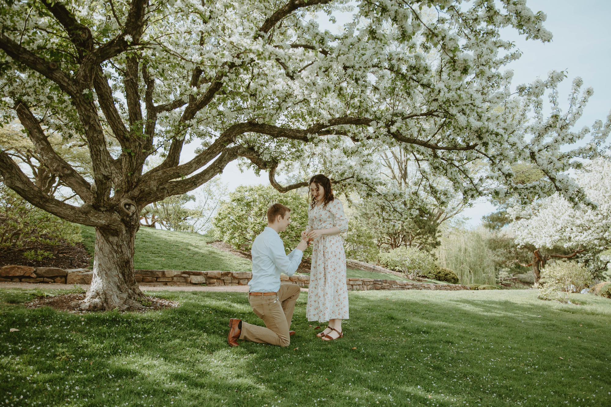 We went to the gardens under the guise of my roommate taking photos for some of our friends' graduations (Brett being one of them)...but all along he planned to propose there.