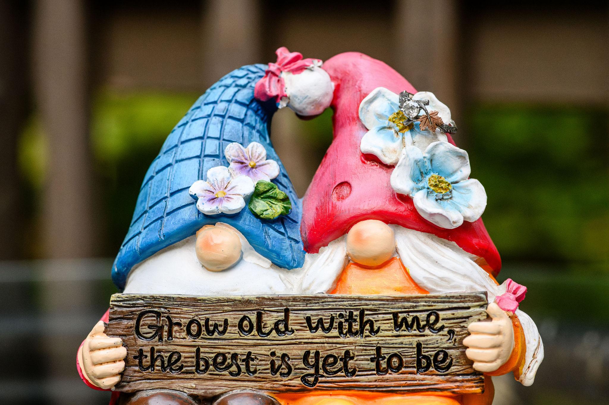 The Wedding Website of Victoria Lopardo and Quinn Furman