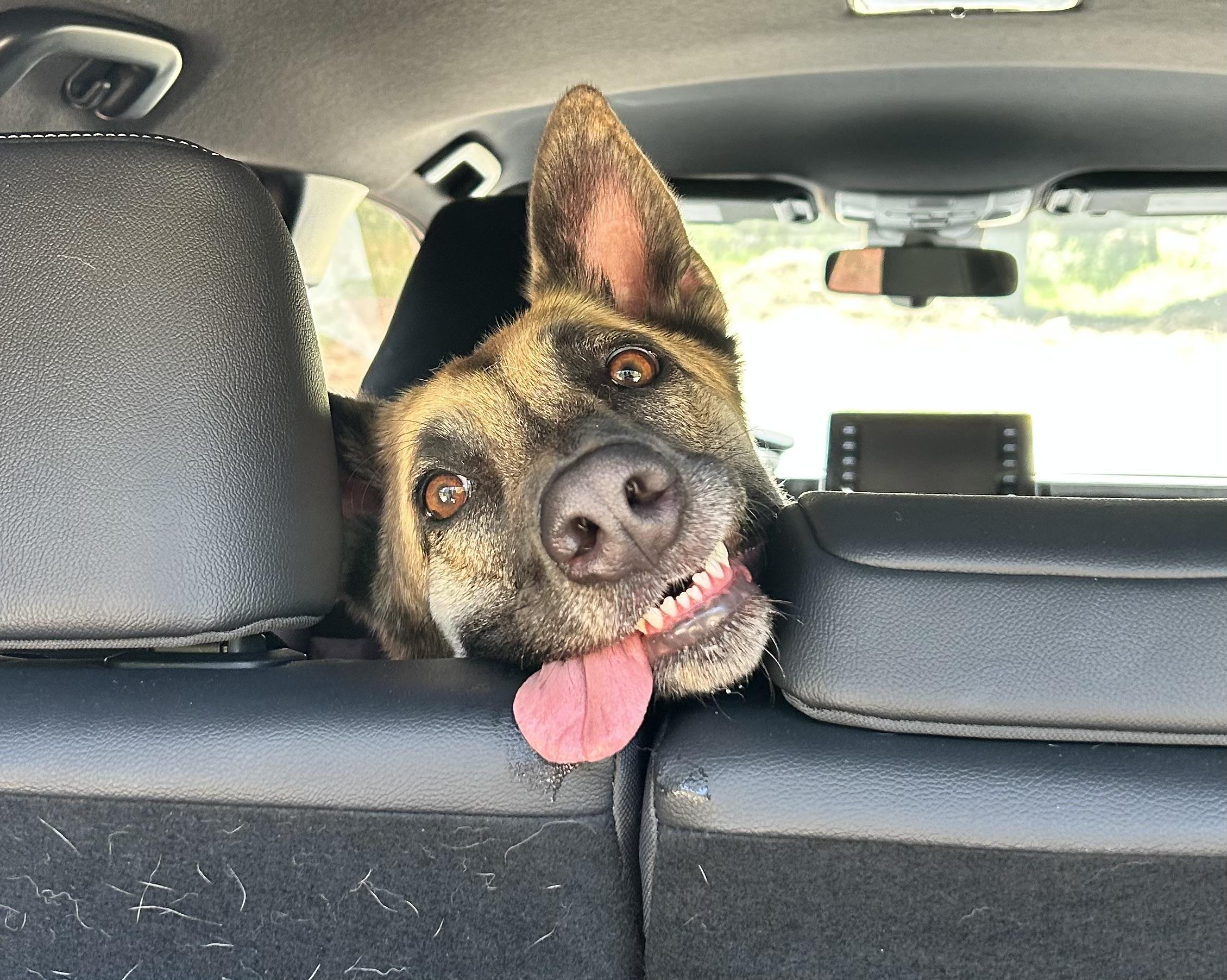 3aecd577-1342-417c-a0f9-625755617beb