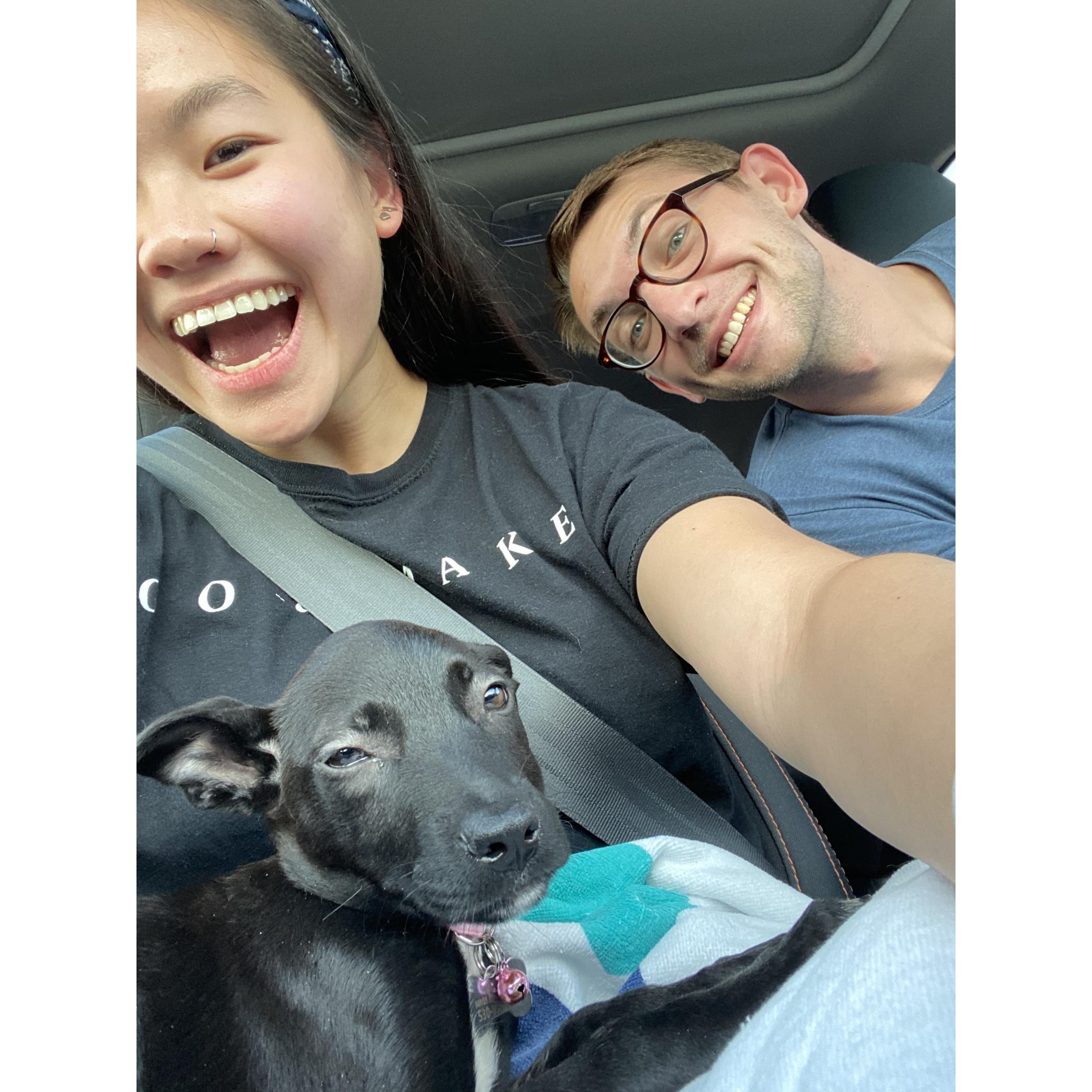 The day we adopted Boba <3