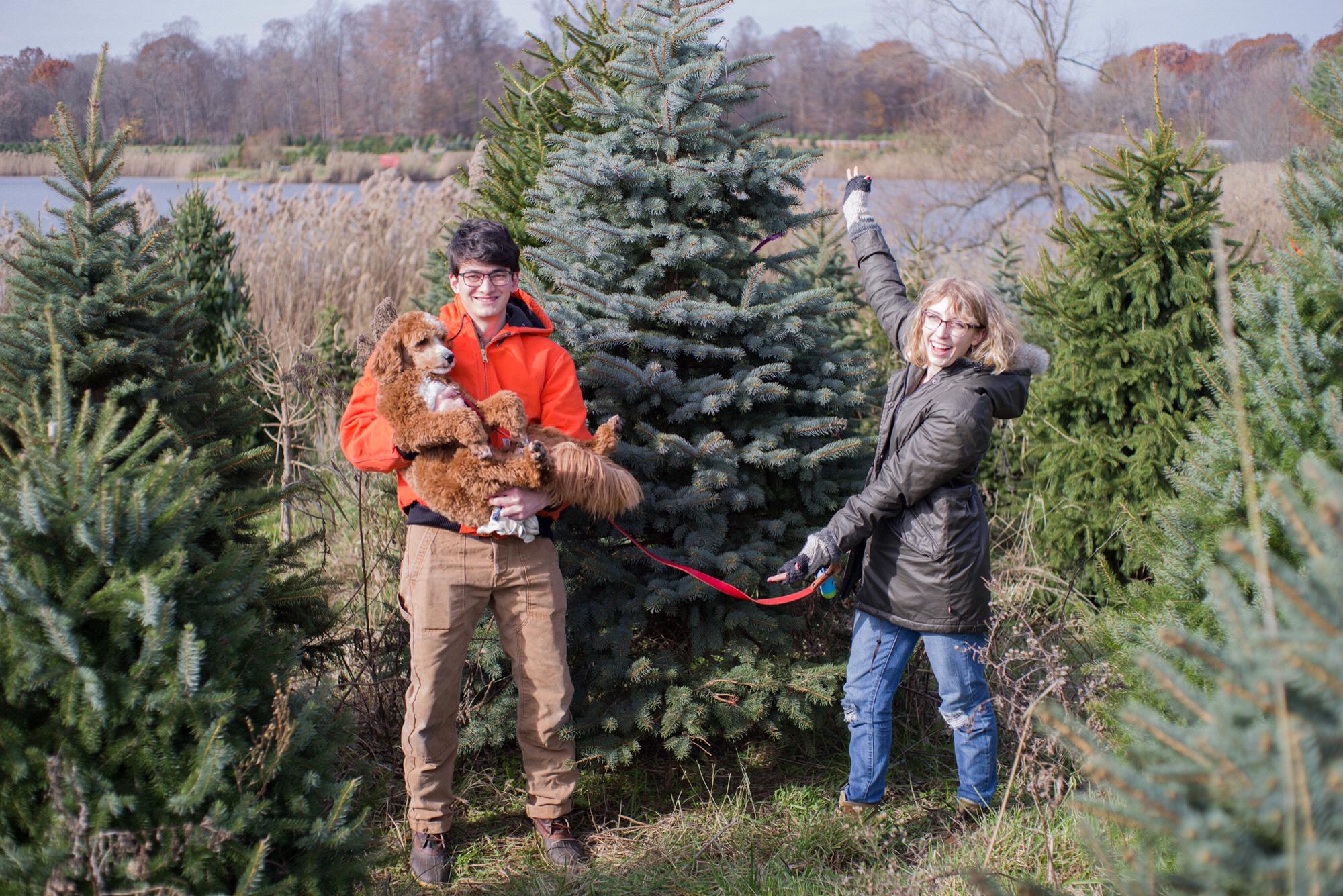 Christmas 2017 - the tradition continues.