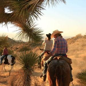 Private Horseback Riding Tour