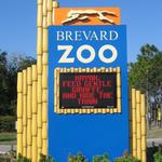 Brevard Zoo