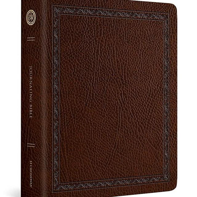ESV Journaling Bible (Mocha, Threshold Design)