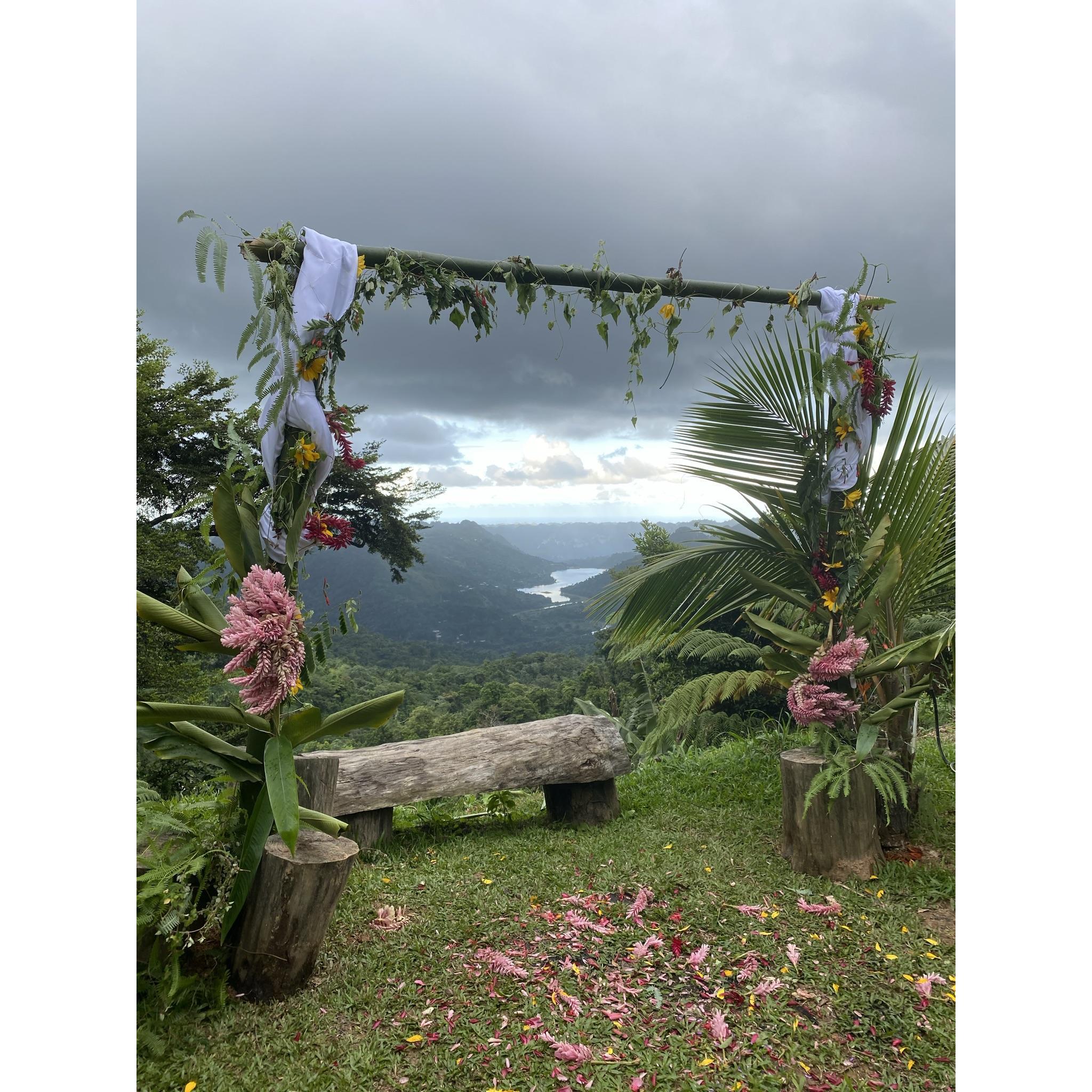The arbor after decorated. All the flowers and plants were collected from this beautiful place 😊