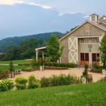 Pippin Hill Farm & Vineyards