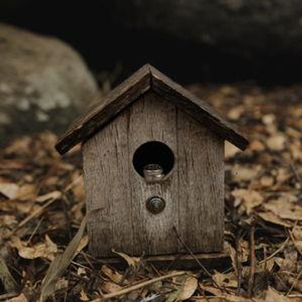Dream Home Fund