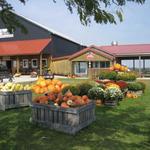 Evans Orchard and Cider Mill