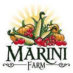 Marini Farm Stand