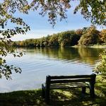 so much to see and do!