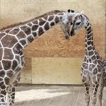 Fort Wayne Children's Zoo