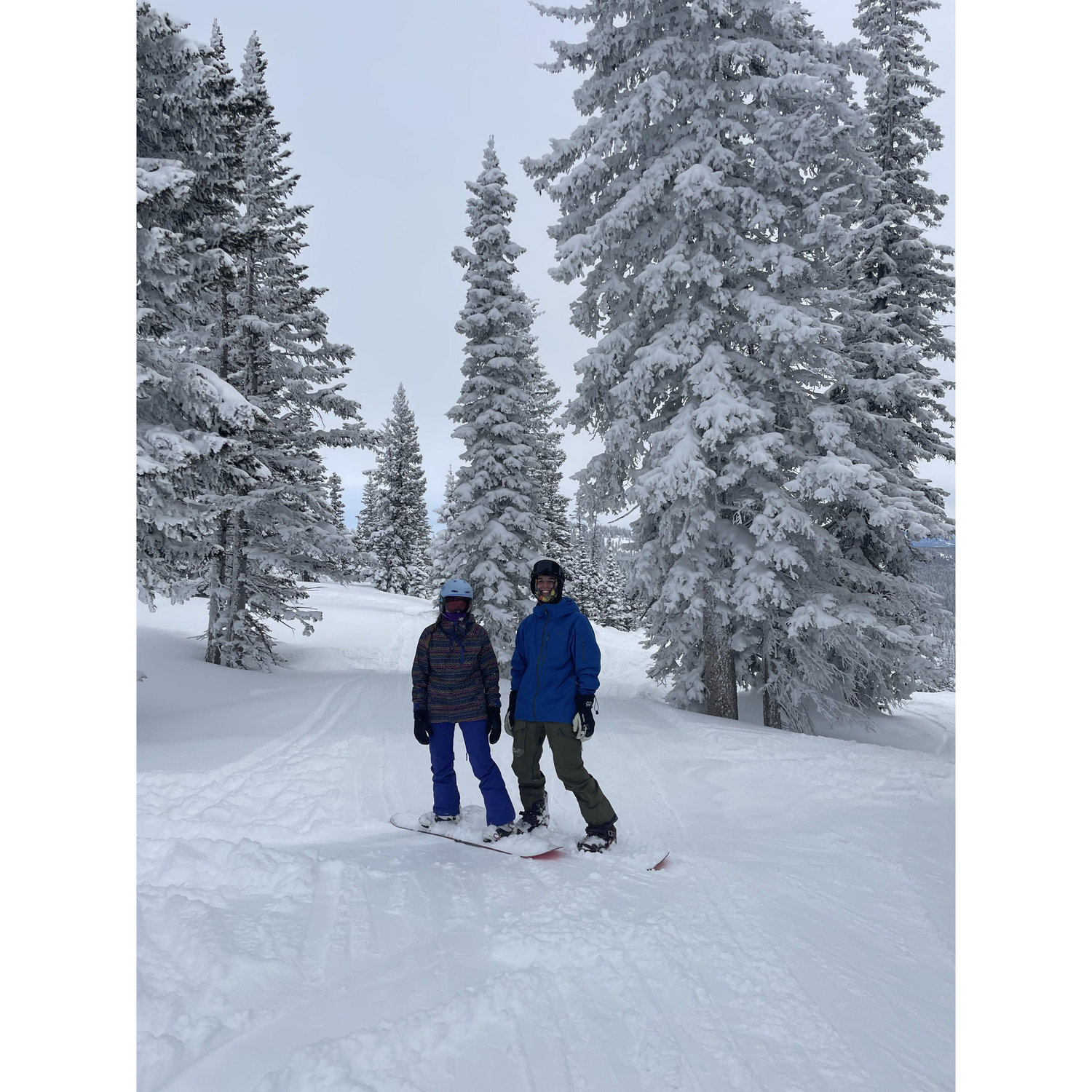 Shredding Season