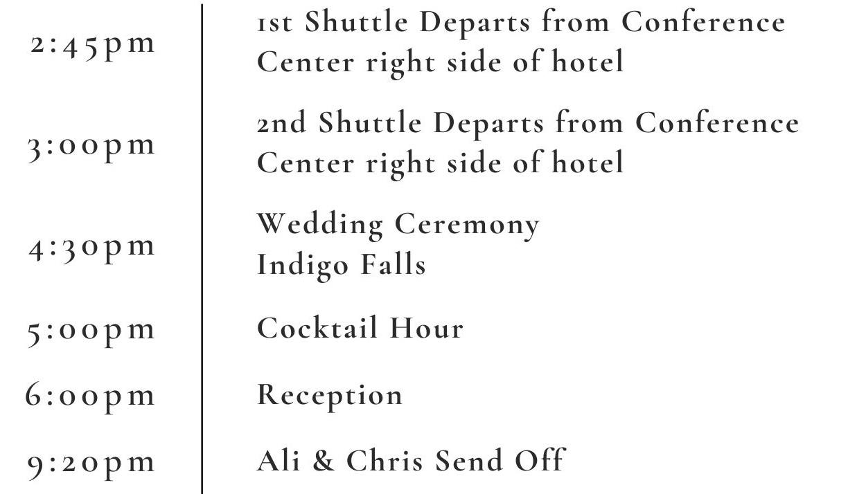The Wedding Website of Ali Mencher and Chris Wellman