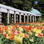 Maymont Gardens