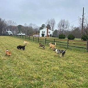 Downpayment for Cardio Farm