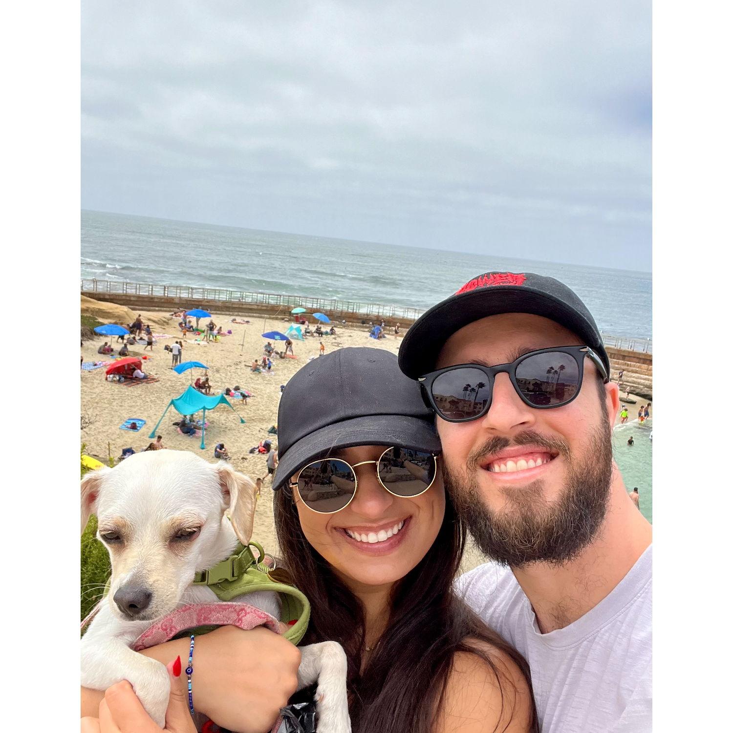 Day trip in San Diego with our pup, Lady!
