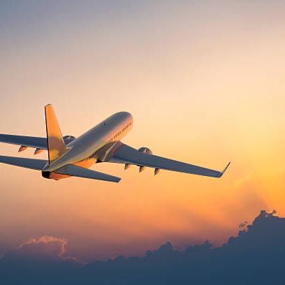 Flight Expenses