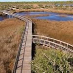 Big Lagoon State Park