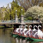 Public Garden