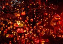 Jack-O-Lantern Spectacular