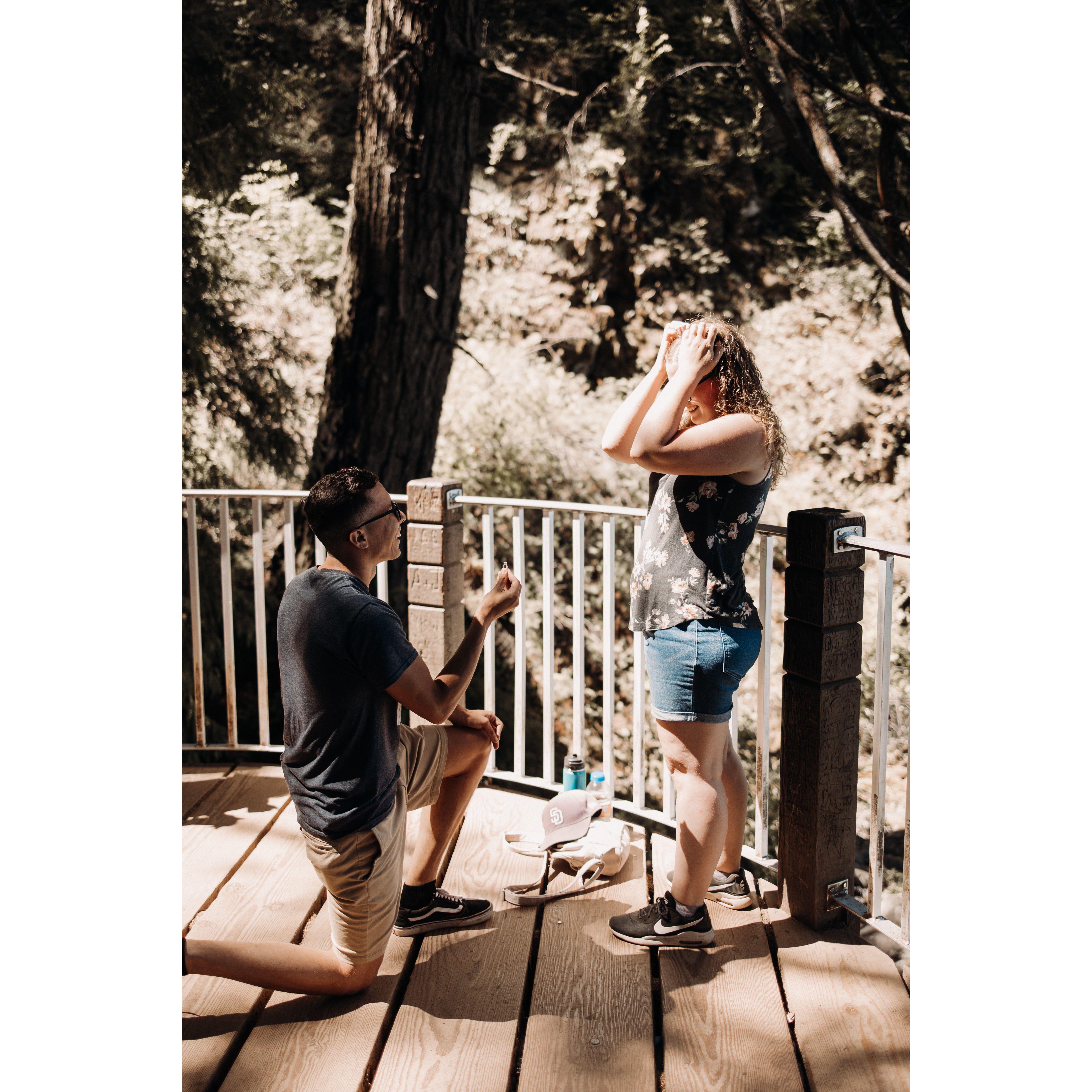 Engagement photos around Multnomah Falls- 2023