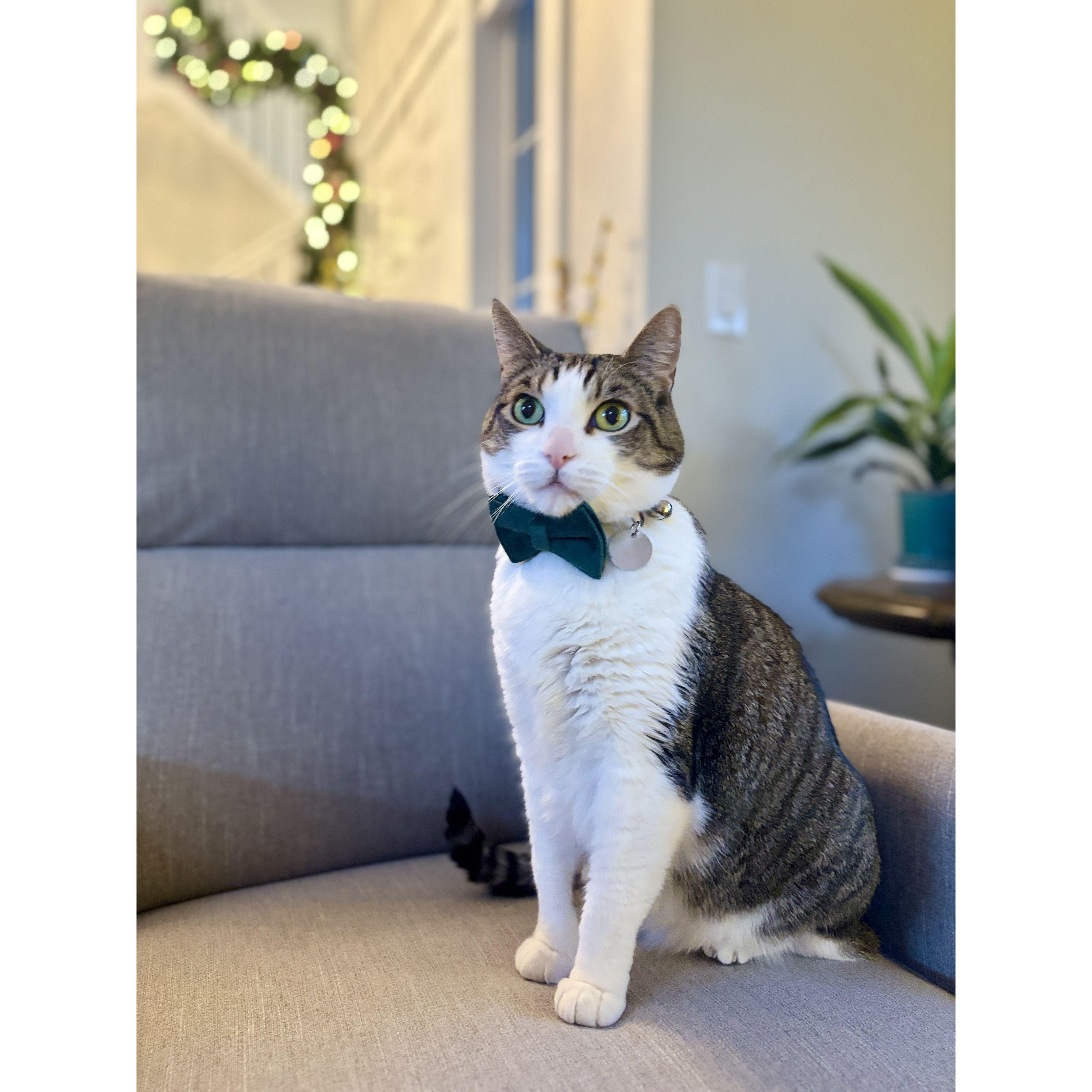 Ron looking very handsome - 2024