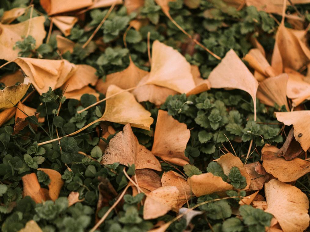 3b0487a8-311a-4a5d-b49b-fb4b419f967a