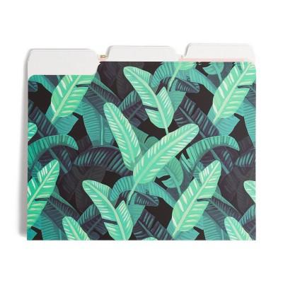 6ct Plant File Folders - UBrands