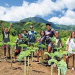 Volunteer Day at Waipa