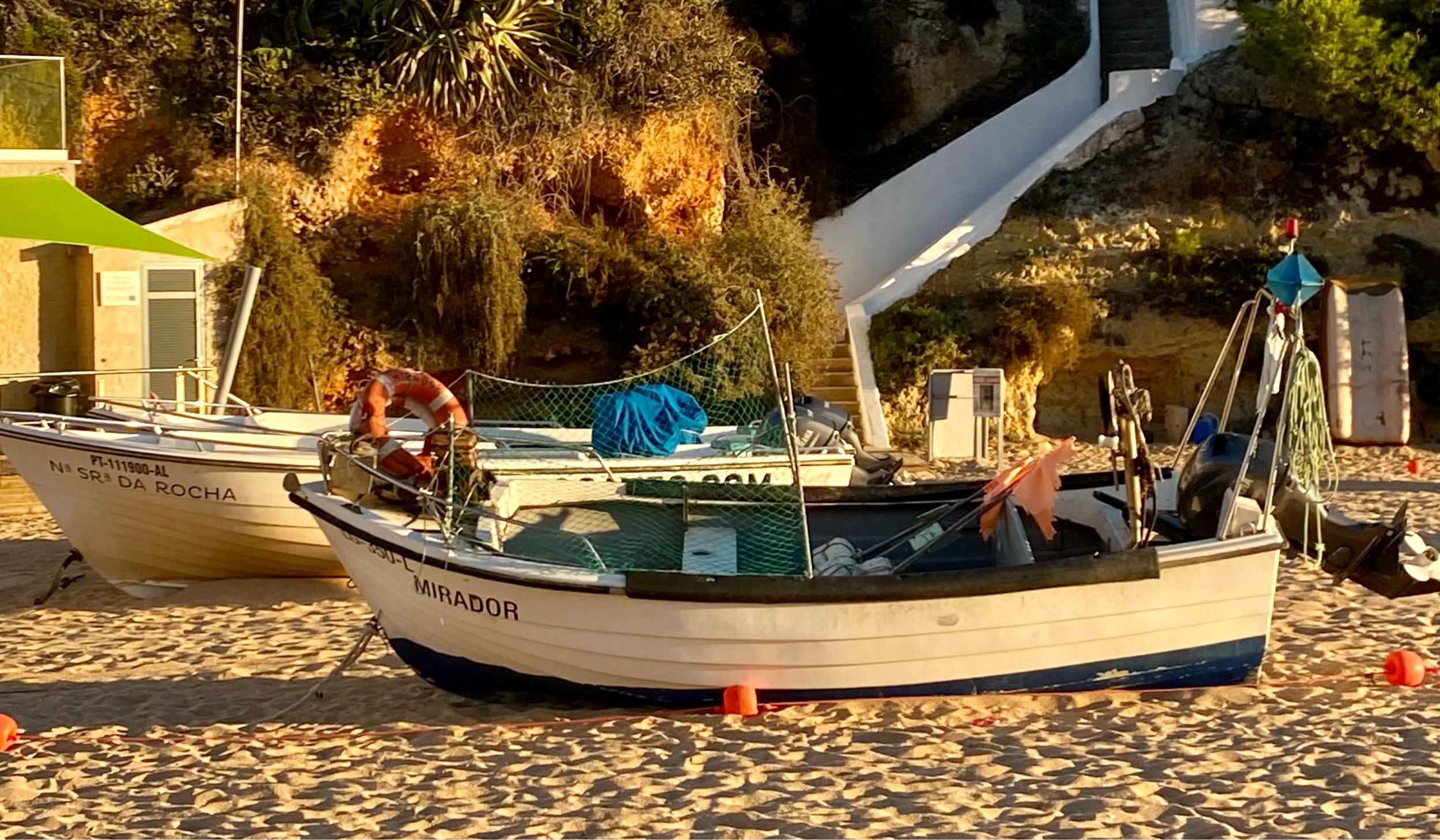 The Wedding Website of Jan Loveridge and Paul Heinsohn