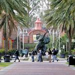 Visit the Audubon Zoo